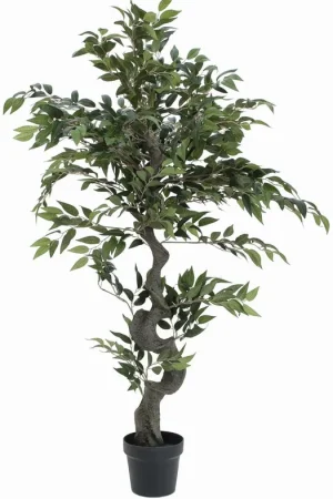 Offre Limitée EUROPALMS Arbre forestier Ficus, plante artificielle, vert, 110cm