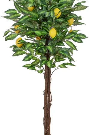 EUROPALMS Citronnier, plante artificielle, 150cm Certifié