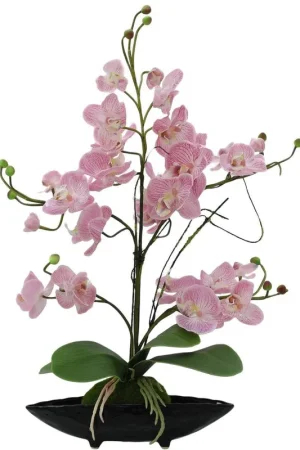Acheter Direct EUROPALMS Composition d'orchidées (EVA), artificielles, violettes