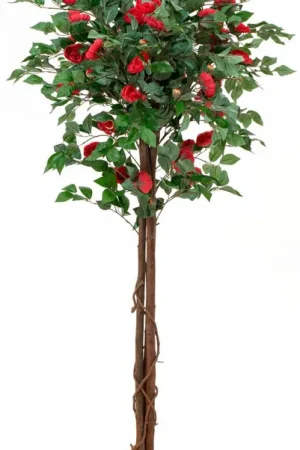 EUROPALMS Camelia rouge cimenté, plante artificielle, 180cm Meilleur Choix