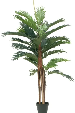 Offre Spéciale EUROPALMS Palmier Kentia, plante artificielle, 120cm