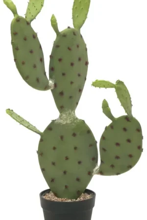 Nouveauté EUROPALMS Cactus Nopal, plante artificielle, 75cm