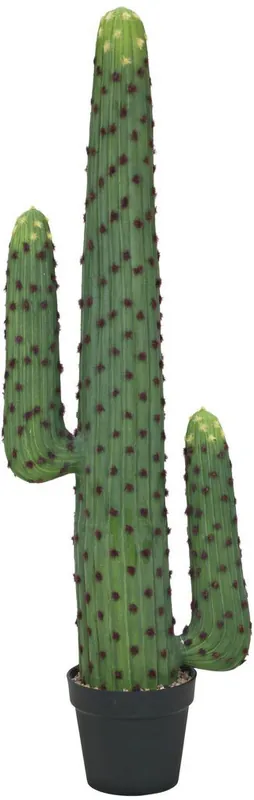 Livraison Gratuite EUROPALMS Cactus mexicain, plante artificielle, vert, 117cm