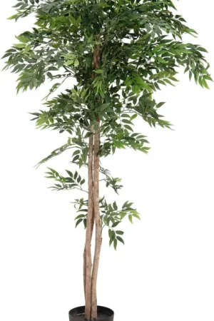 EUROPALMS Ficus longifolia, plante artificielle, 165cm Must-Have