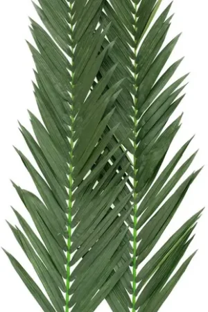 EUROPALMS Branche de palmier royal en cocotier, artificielle, 210cm Nouvel Arrivage