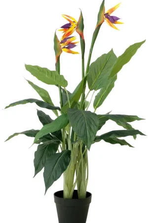 EUROPALMS Fleur d'oiseau de paradis, plante artificielle, 90cm Meilleure Vente