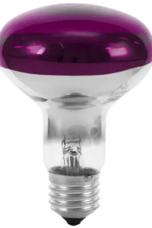 Réduction OMNILUX R80 230V/60W E-27 violet