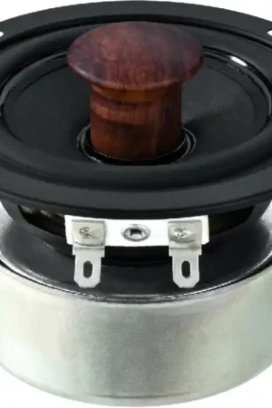 Achat Immédiat SPX-32M Haut-parleur Hi-Fi large bande, 40 WMAX, 8 Ω