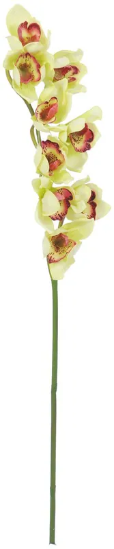 EUROPALMS Branche de cymbidium, artificielle, verte, 90cm Acheter Direct