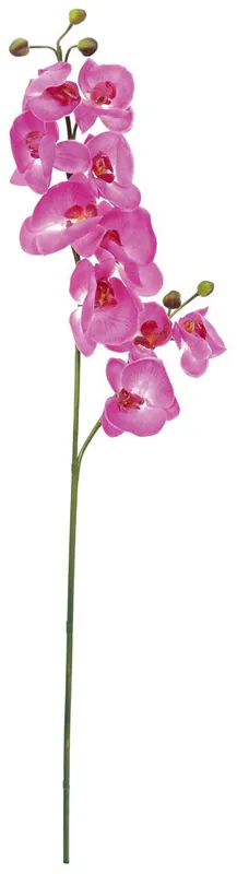 Acheter En Ligne EUROPALMS Branche d'orchidée, artificielle, pourpre, 100cm