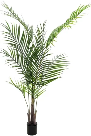 EUROPALMS Palmier Areca avec grandes feuilles, plante artificielle, 165cm Dernier Modèle