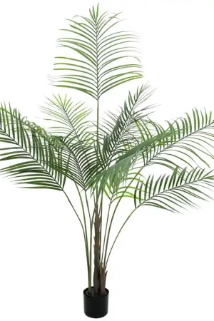 EUROPALMS Palmier Areca avec grandes feuilles, plante artificielle, 185cm Bon Marché