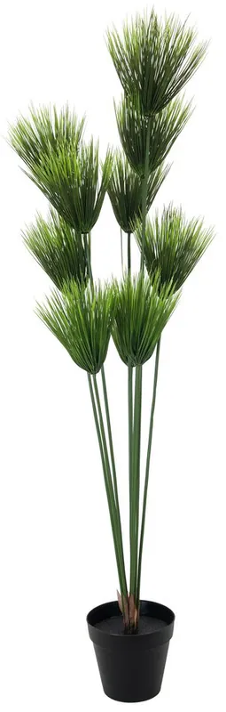 EUROPALMS Plante papyrus, artificielle, 150cm Livraison Express
