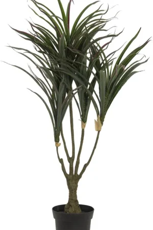 EUROPALMES Dracena, vert-rouge, artificielles, 90cm Prix Cassé