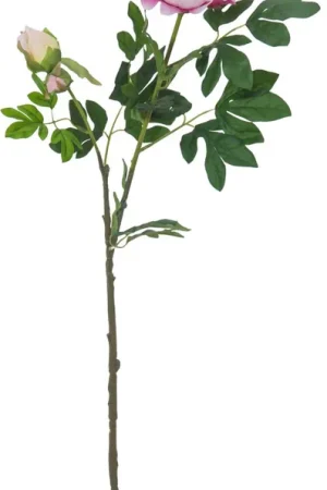 EUROPALMS Branche de pivoine premium, plante artificielle, rose, 100cm Vente Flash