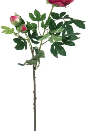 EUROPALMS Branche de pivoine premium, plante artificielle, magenta, 100cm Offre Spéciale