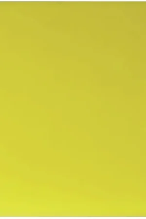 Acheter En Ligne EUROLITE Filtre en verre Flood, jaune, 165x132mm
