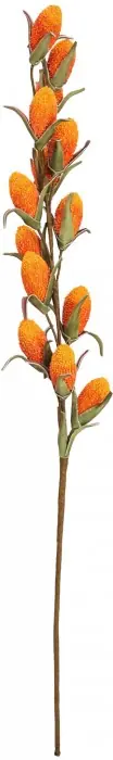 EUROPALMS Buriti Branch (EVA), artificiel, orange Must-Have