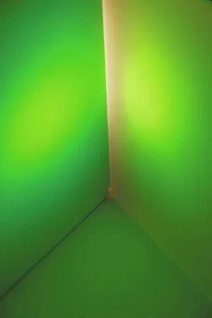 Livraison Express EUROLITE Dichro, vert, dépoli, 165x132mm