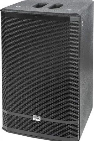 DAP-Audio Pure-10 - 10-inch passive full-range speaker 500 watts - multi-usage Meilleur Choix