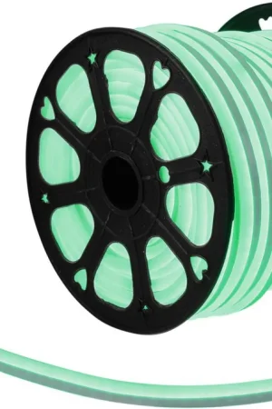 EUROLITE LED Neon Flex 230V Slim green 100cm Livraison Express