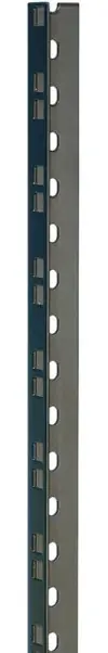 Prix Cassé Adam Hall 19" Parts 61532 BLK - Profilé Rack acier Noir Heavy Duty 45 U