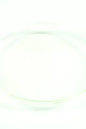 Achat Immédiat Ersatzteil Lens Ø 177mm vide ML-64/-56 VNSP
