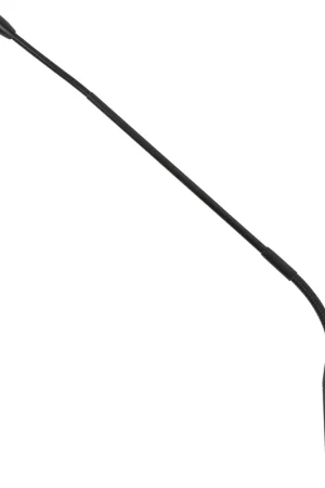 Offre Spéciale Microphone à condensateur à col de cygne DAP-Audio GCM-10