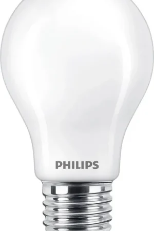 Dernière Chance PHILIPS MAS Ampoule LED DT10.5-100W E27 927A60 FR G