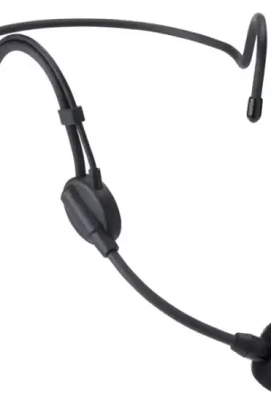 Seulement Aujourd’hui AudiophonyGOHead