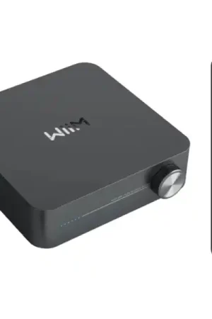 Prix Bas WiiMWiiM Amp Space Gray