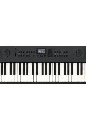 RolandGO:KEYS 5 (GRAPHITE) Satisfait Ou Remboursé