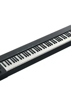 Prix Cassé RolandA-88MKII - STOCK B