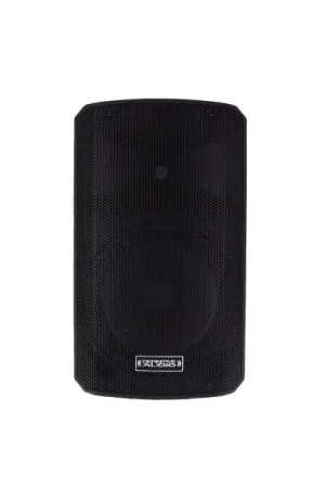 Definitive audio INPULSE 10 BA DSP Paiement Sécurisé