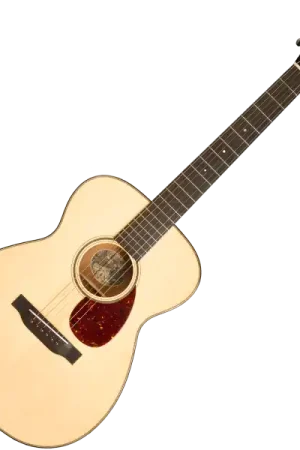 Produit De Marque Collings Traditional 001 14-Fret T #34443 - natural