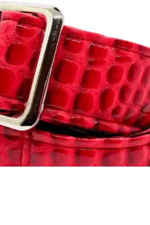 Get m get m Aussie Gator Dragon Red Commander Vite