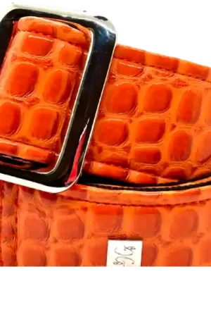 Get m get m Aussie Gator Orange Crush Petit Prix