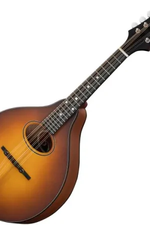 Dernière Chance Eastman A-style Oval-hole PCH-M104 - truetone satin goldburst