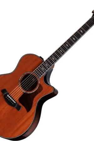 Expédié Aujourd’hui Taylor 50th Anniversary Builder's Edition 814ce LTD - natural