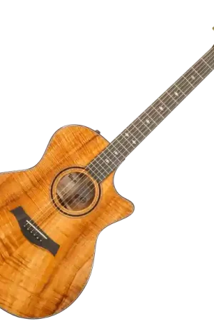 Commande En Gros Taylor Custom Shop GA-E Grand Auditorium #1211143039 - natural