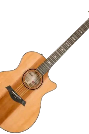 Certifié Taylor Custom Shop GA-E Grand Auditorium #1211163099 - natural