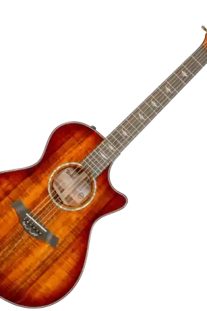 Bon Marché Taylor Custom Shop GC-E Grand Concert #1211133097 - sunburst