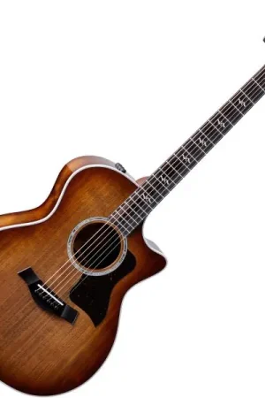 Authentique Taylor 424ce Walnut/Walnut SEB Special Edition - shaded edgeburst