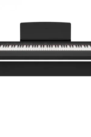 Affaire À Saisir Yamaha P-225 Black + L-200 B