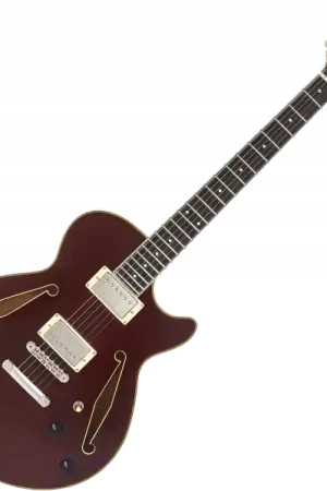 D'angelico Excel SS Tour - solid wine Quantité Limitée