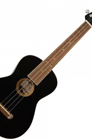 Affaire À Saisir Fender Avalon Tenor - black