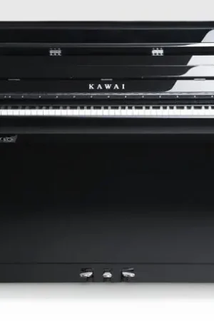 Kawai NV 5 S Populaire