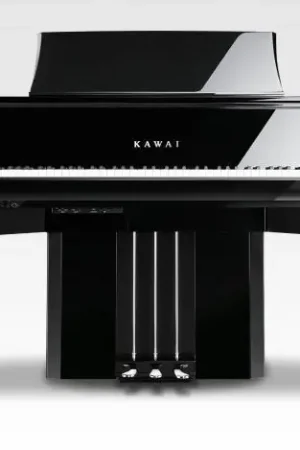 Livraison Express Kawai NV 10 S