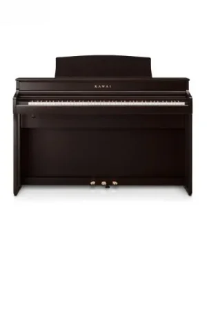 Authentique Kawai CA-501 R