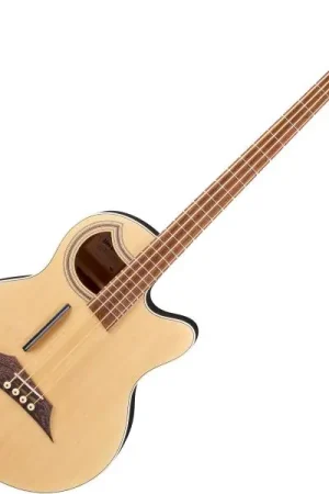 Warwick Alien Standard 4 - natural transparent satin Commander Maintenant